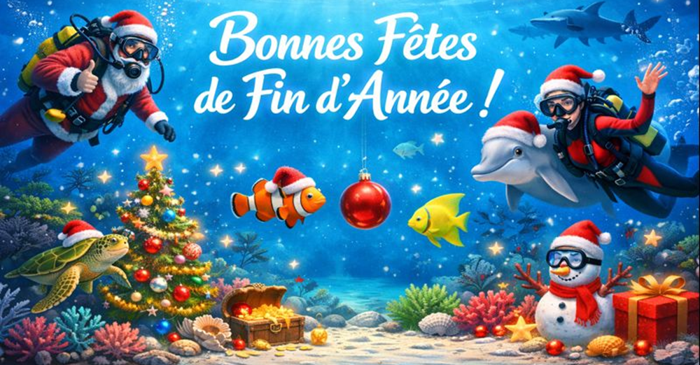 Passez de bonnes fêtes