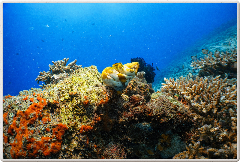 bali_2009-09-07_11-48-36