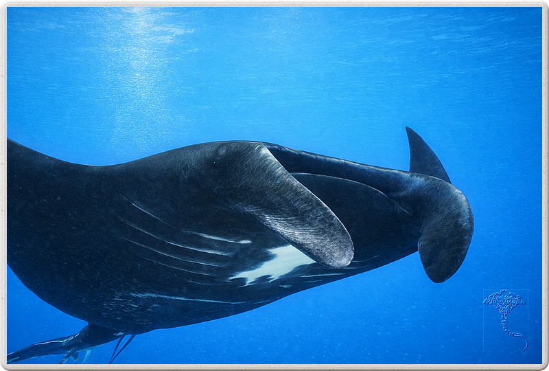 bali_2009-09-11_10-27-36