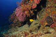 bali_2009-09-11_11-52-17