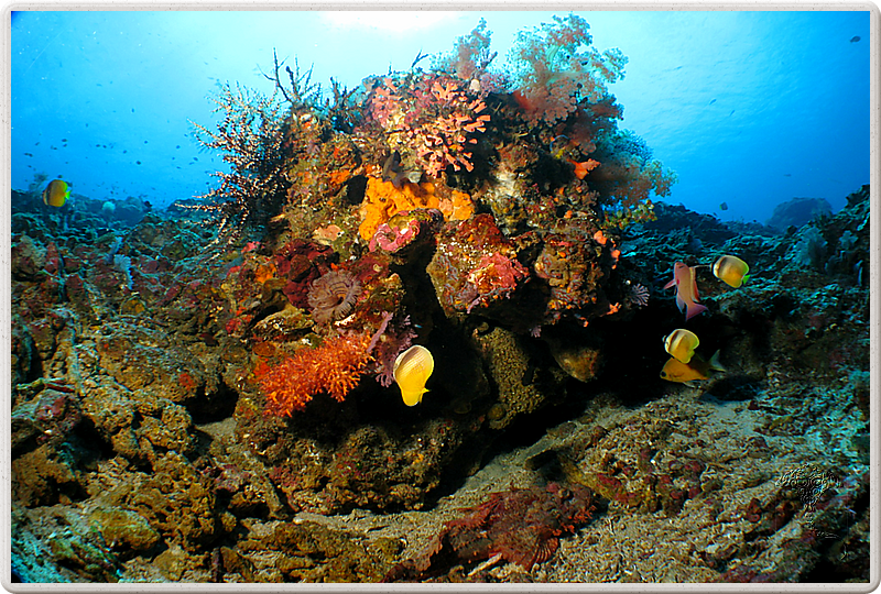 bali_2009-09-11_11-55-07