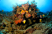 bali_2009-09-11_11-55-07