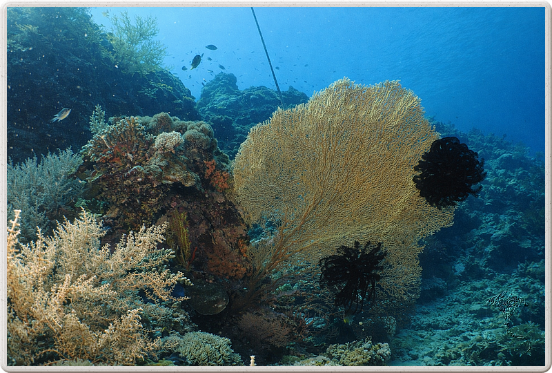 bali_2009-09-14_10-28-03
