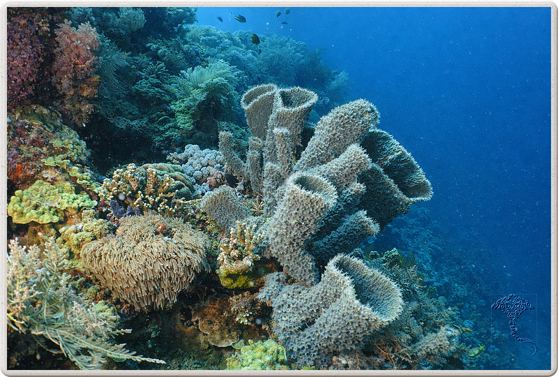 bali_2009-09-14_10-53-43