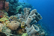 bali_2009-09-14_10-53-43