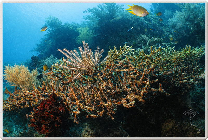 bali_2009-09-14_10-59-26