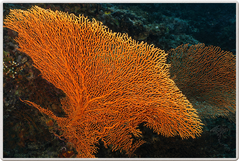 bali_2009-09-14_13-51-48