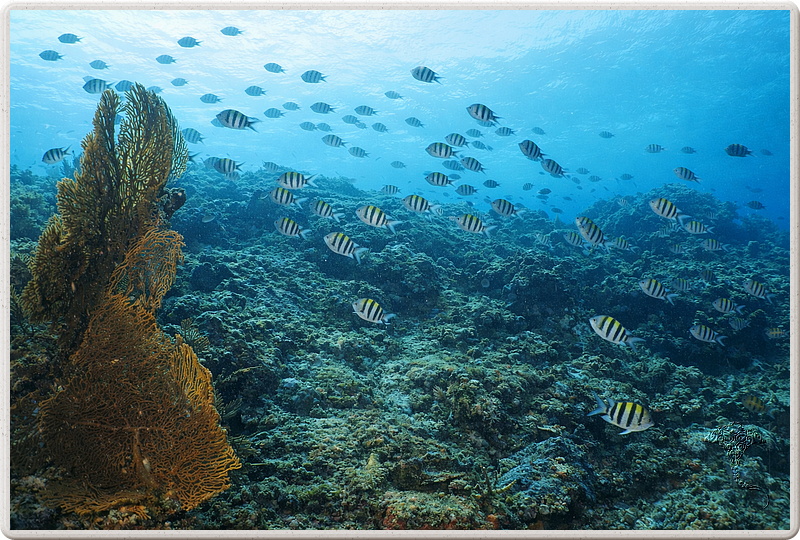 bali_2009-09-14_14-09-51