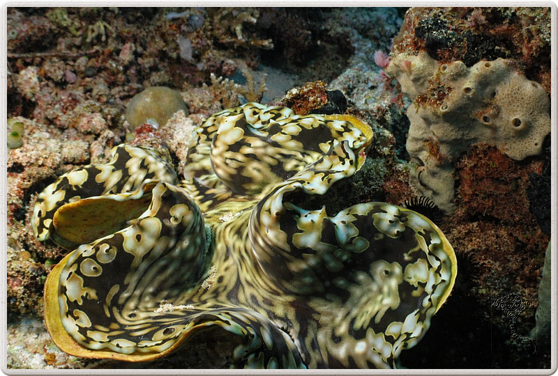 bali_2009-09-14_14-15-53