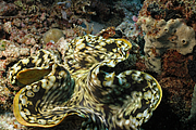 bali_2009-09-14_14-15-53