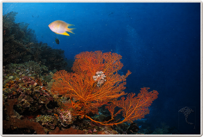 bali_2009-09-15_10-54-39
