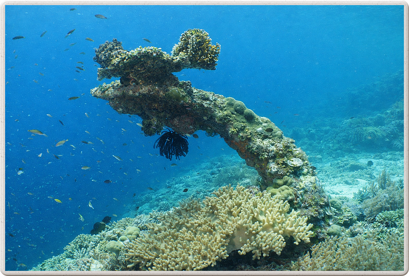 bali_2009-09-15_13-18-41