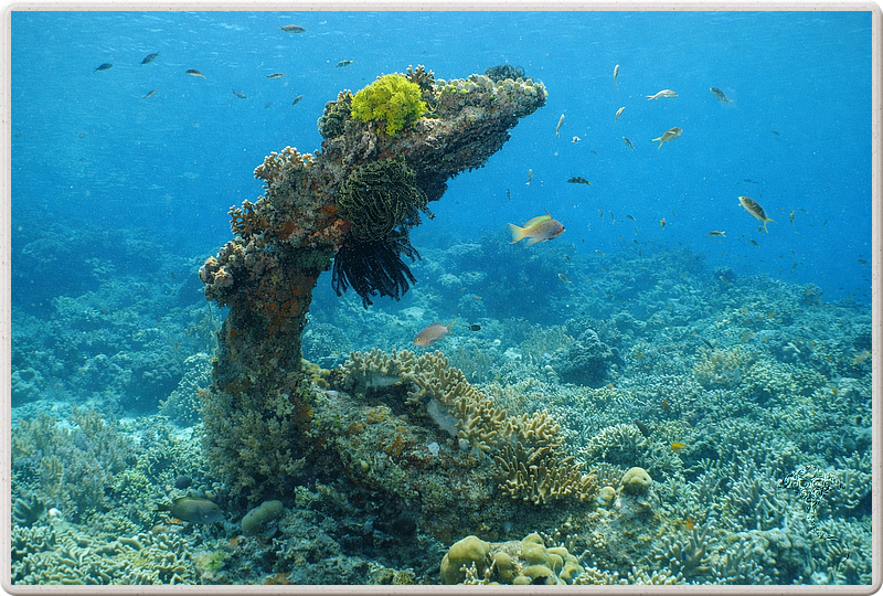 bali_2009-09-15_13-20-42