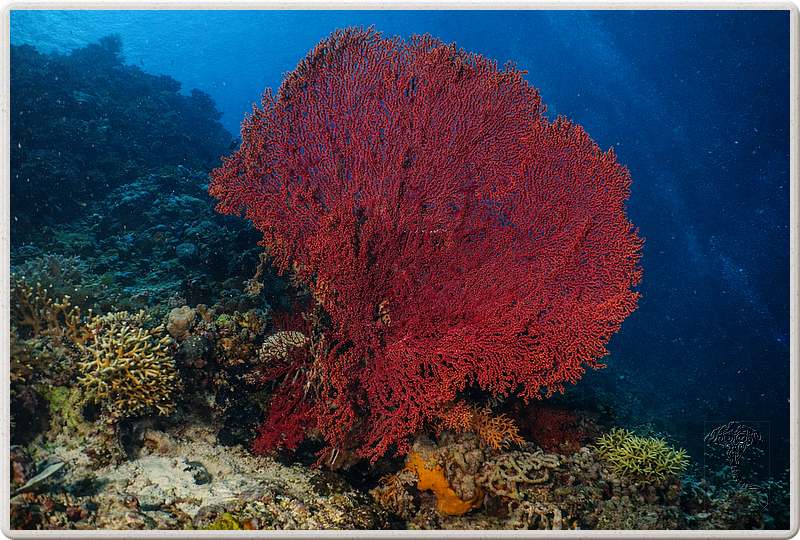 bali_2009-09-15_13-31-59