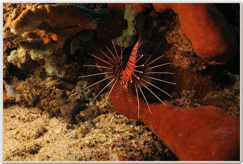 bali_2009-09-15_13-39-04