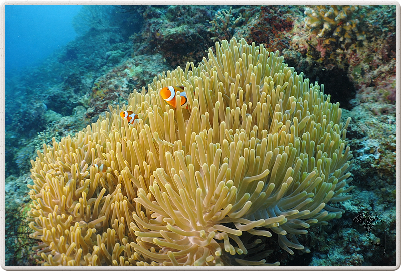 bali_2009-09-15_14-05-57