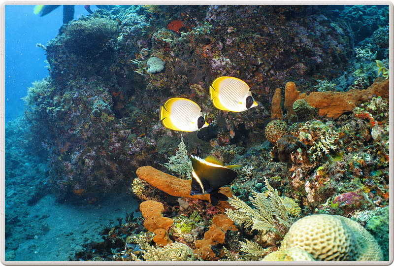 bali_2009-09-18_11-34-56