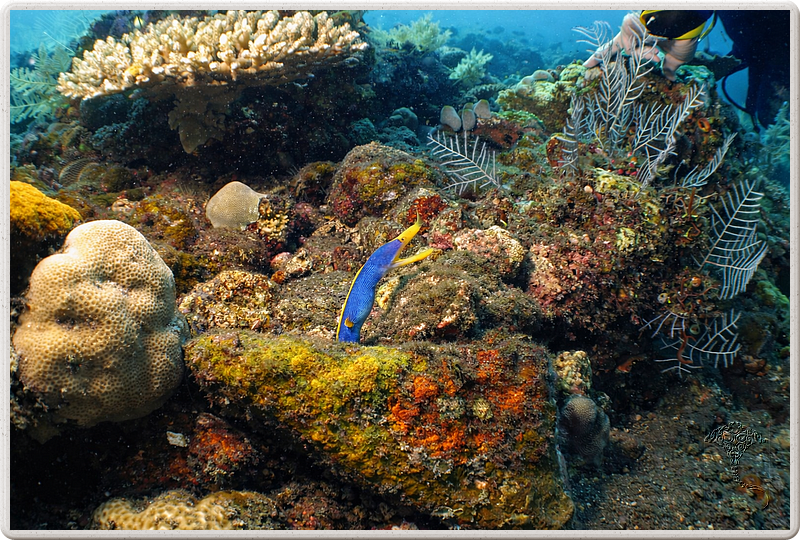 bali_2009-09-18_14-39-55