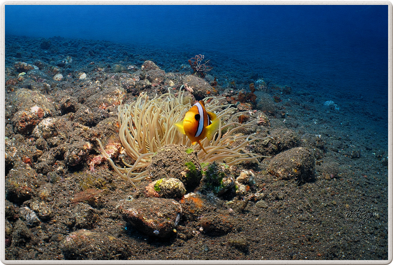 bali_2009-09-19_13-43-53