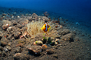 bali_2009-09-19_13-43-53