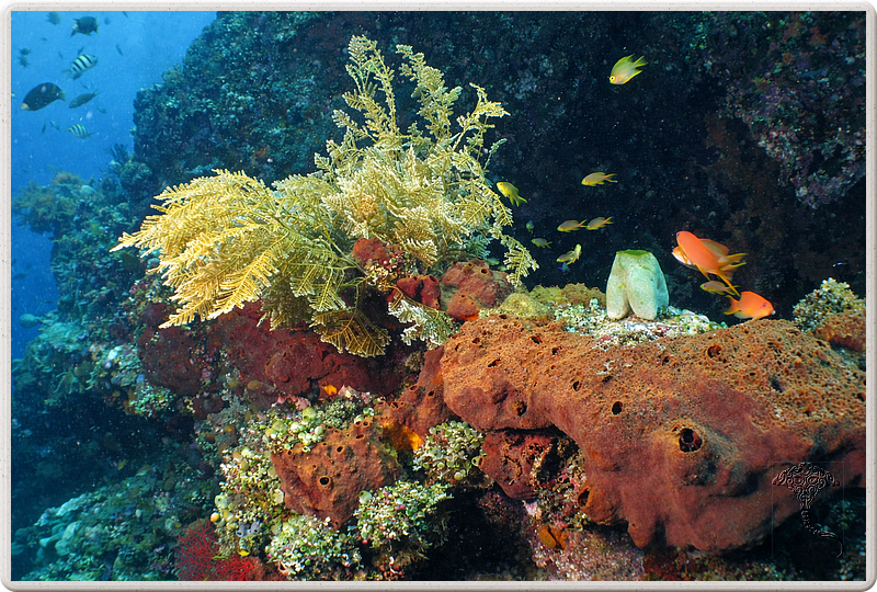 bali_2009-09-19_14-21-53