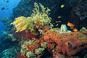 bali_2009-09-19_14-21-53