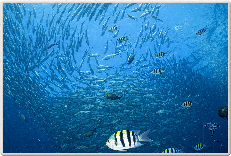 bali_2009-09-19_14-31-34