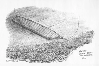 Epave Nordby