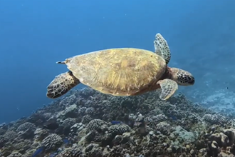 Papeete - La Source