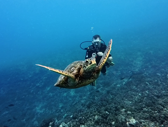 Turtles Reef 4 mars 2025
