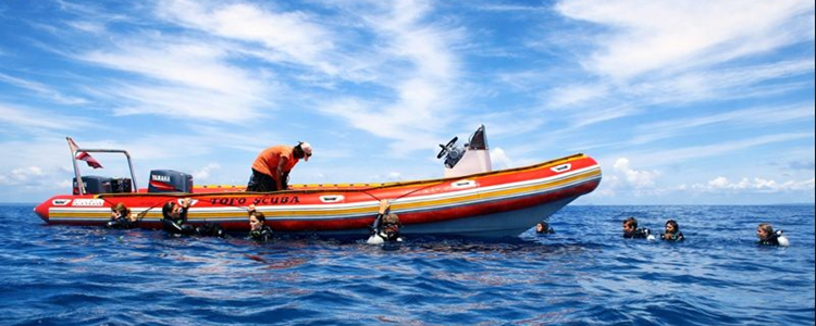 Sejour Tofo - Mozambique